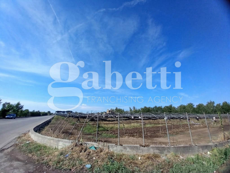 Terreno - Image 9