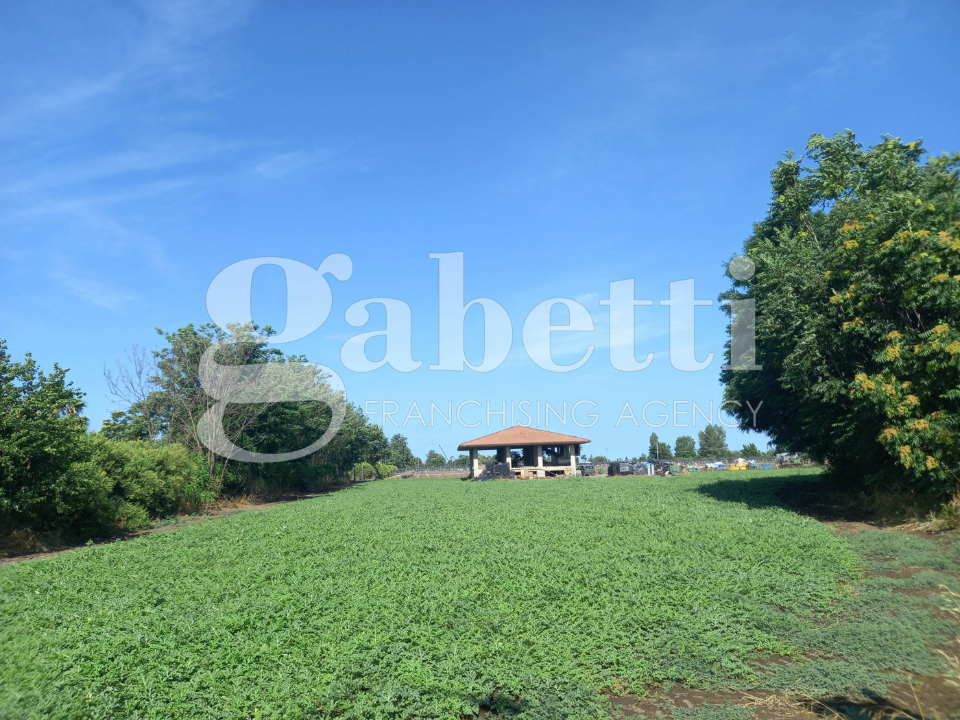 Terreno - Image 5