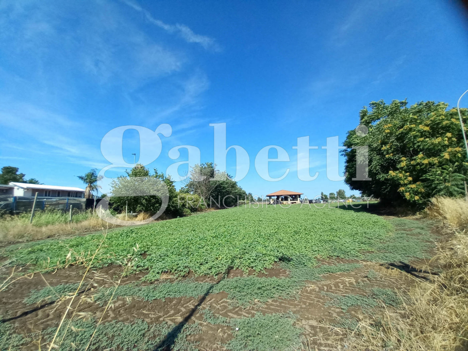 Terreno - Image 4