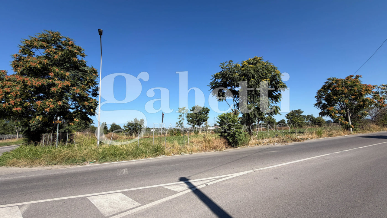 Terreno - Image 6