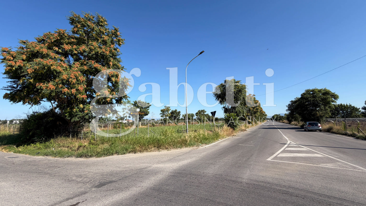 Terreno - Image 8