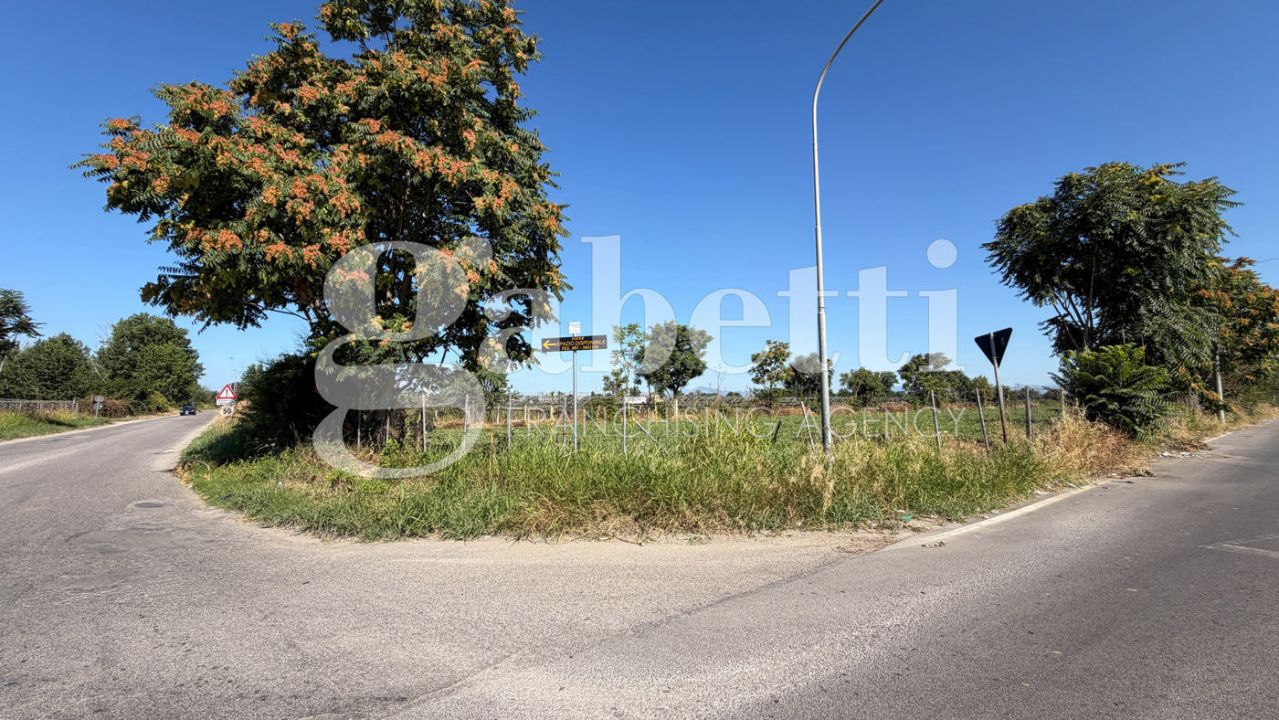 Terreno - Image 4