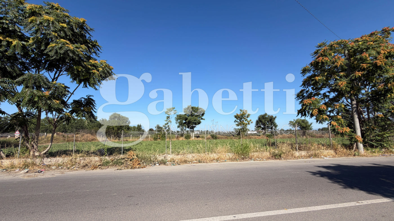 Terreno - Image 7