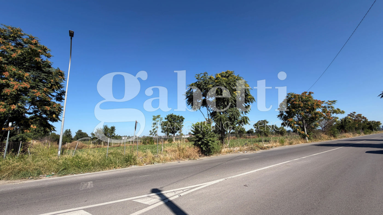 Terreno - Image 1