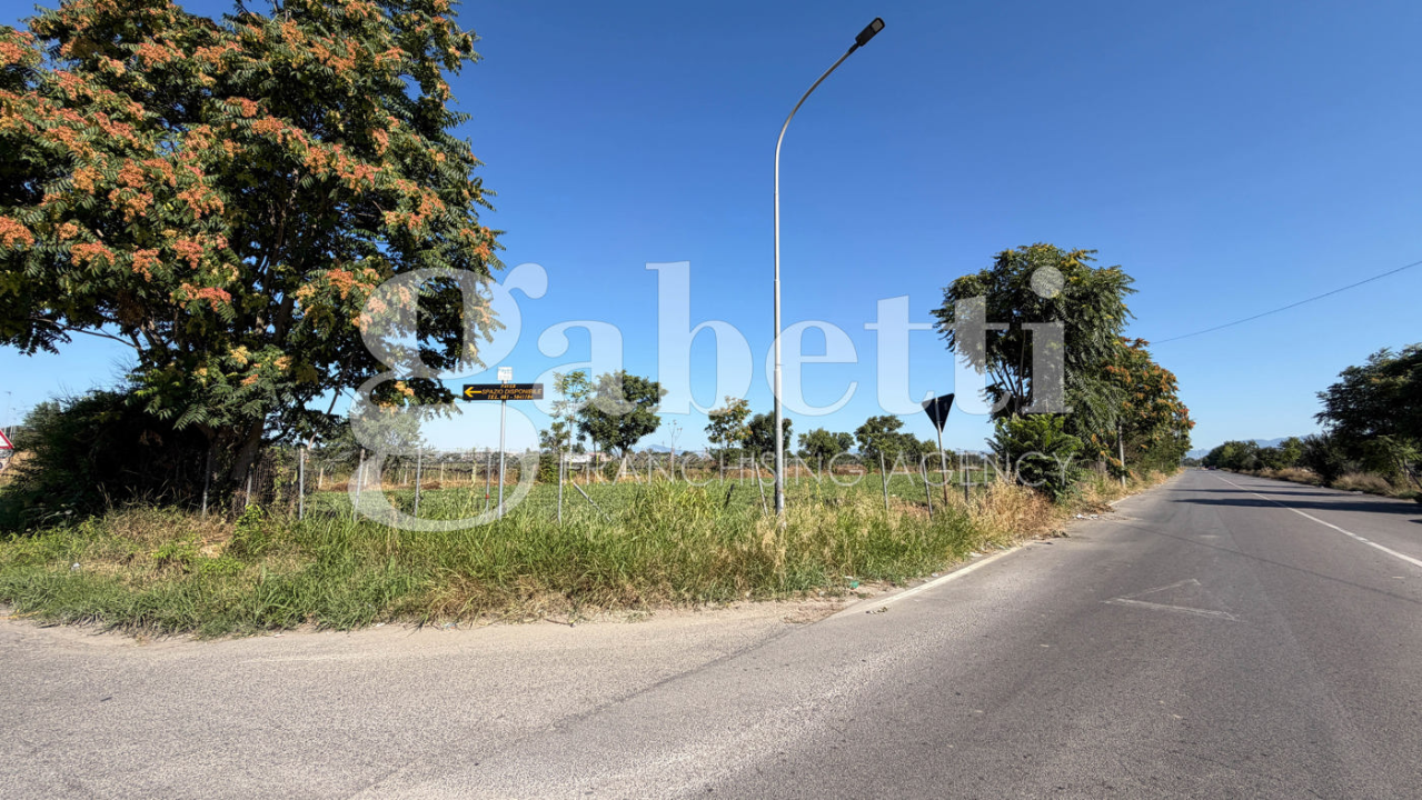 Terreno - Image 5