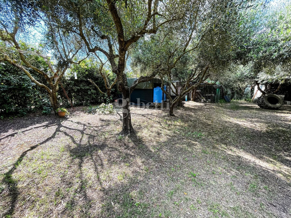 Terreno - Image 5