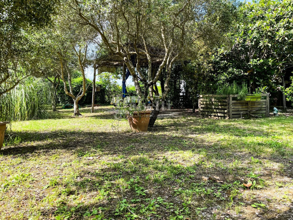 Terreno - Image 6
