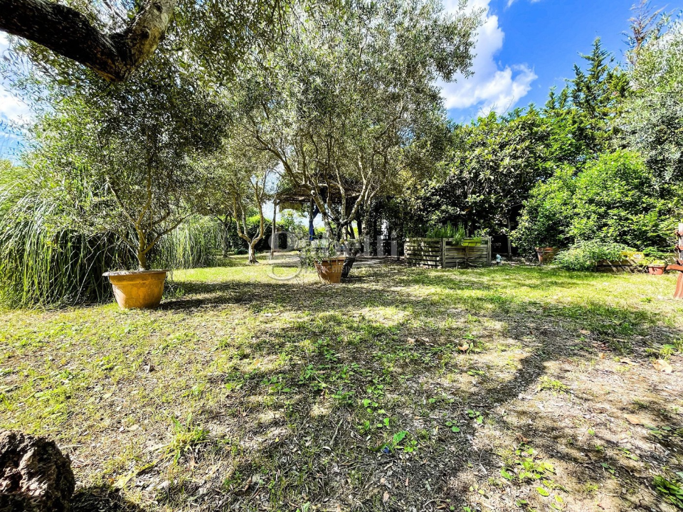 Terreno - Image 7