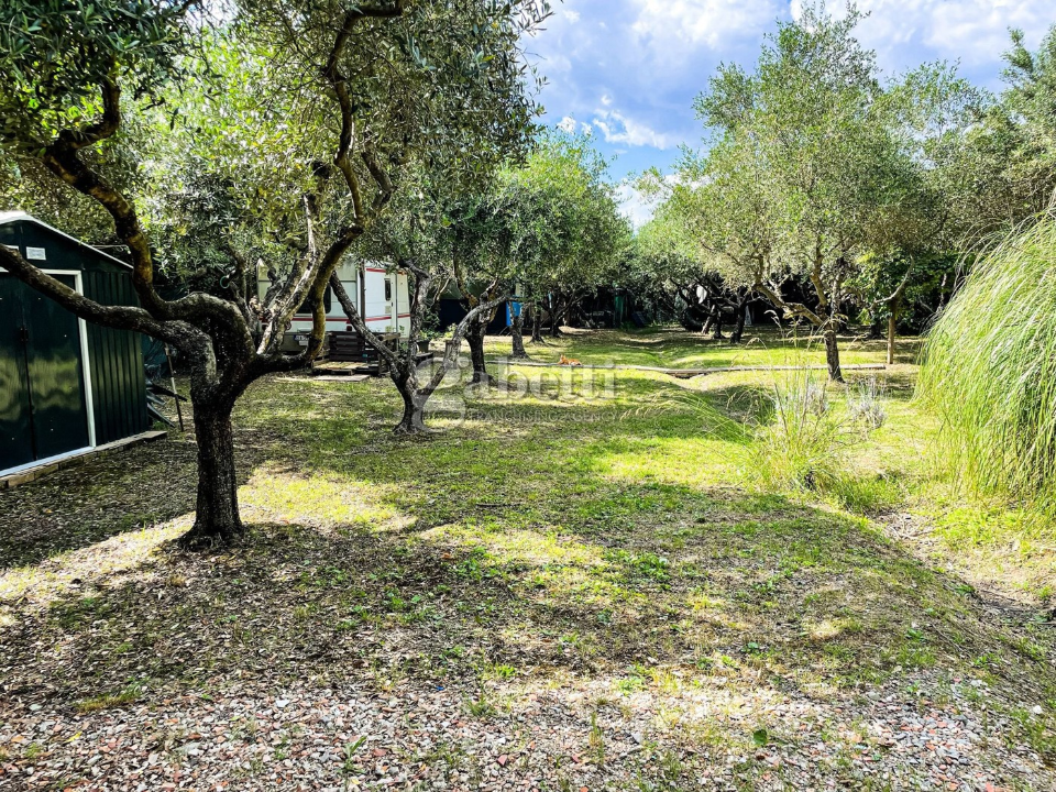 Terreno - Image 8