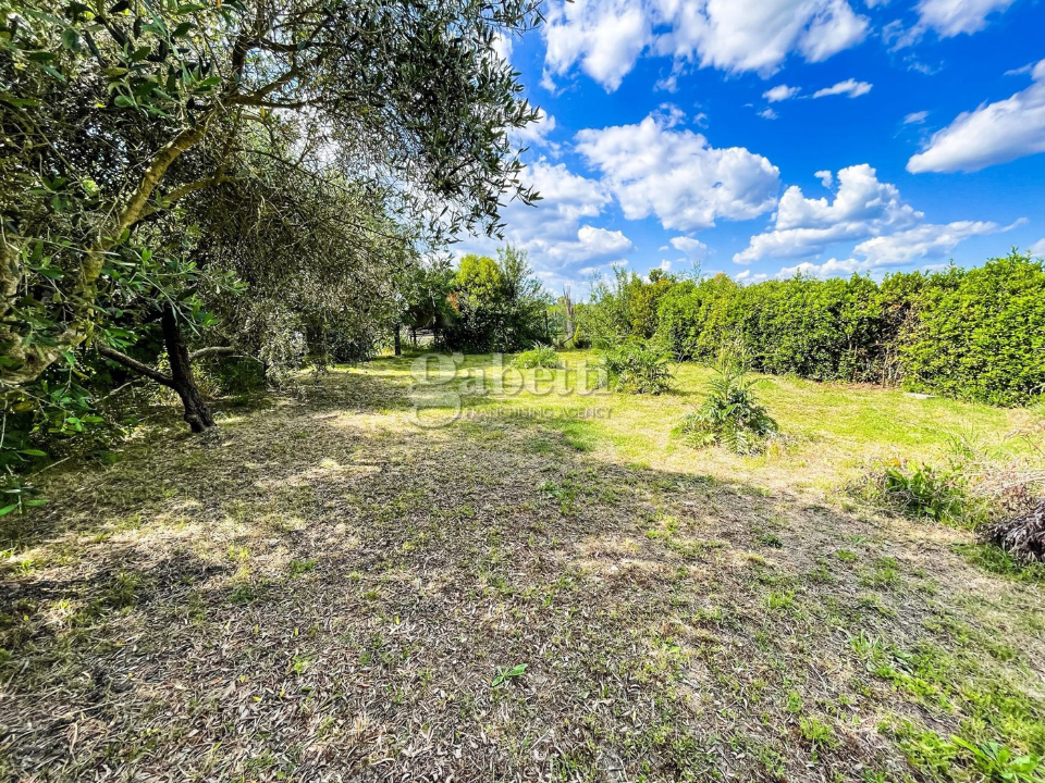 Terreno - Image 11