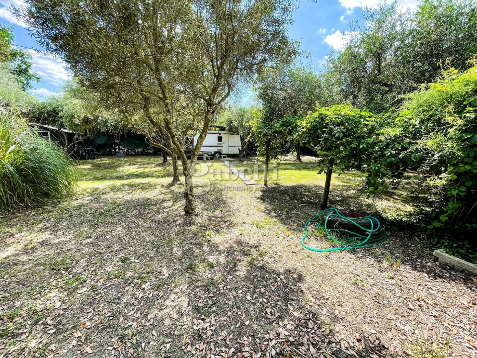 Terreno - Image 3