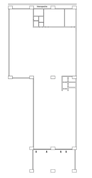 Capannone - Planimetry 1