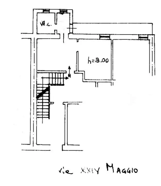Negozio - Planimetry 3