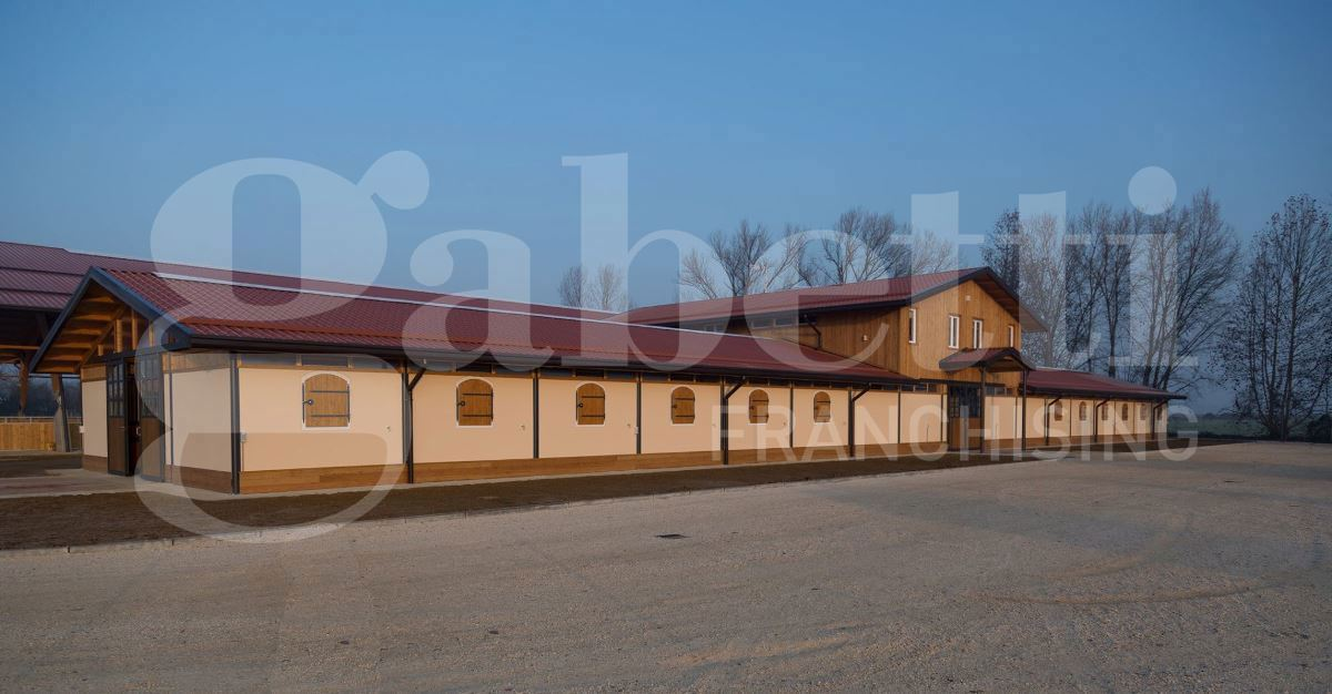 Complesso - Image 10