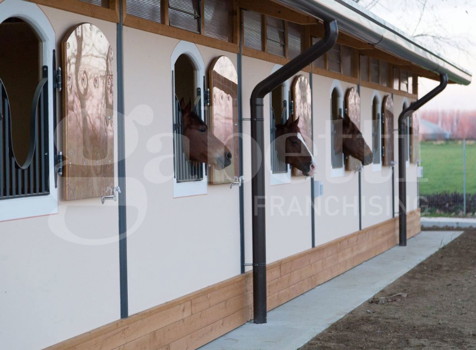 Complesso - Image 12