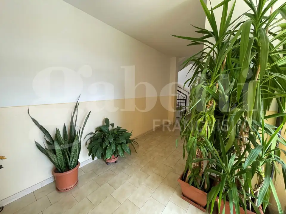 Appartamento - Image 20