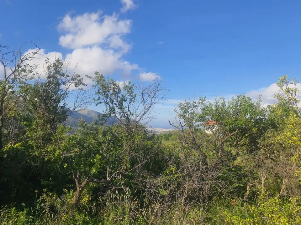 Casa Indipendente - Image 14