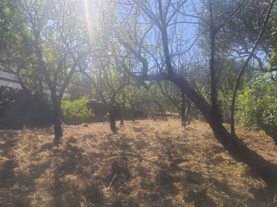 Casa Indipendente - Image 34