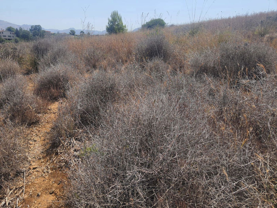 Appartamento - Image 4