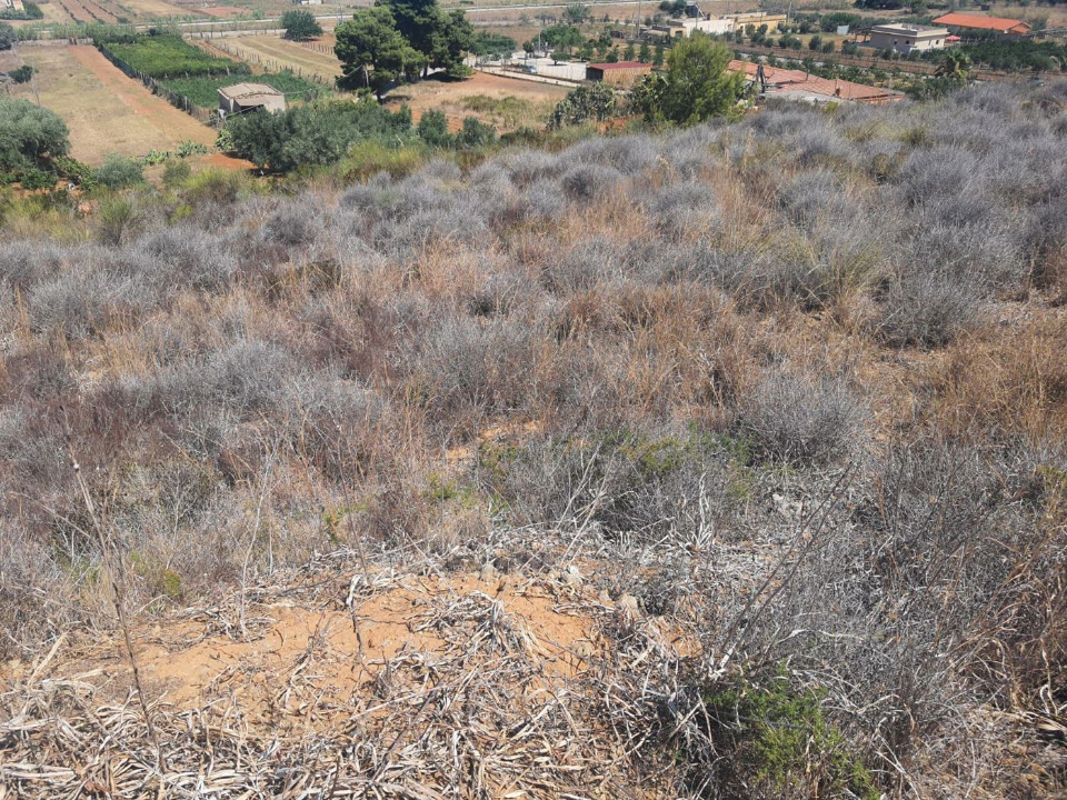 Appartamento - Image 5