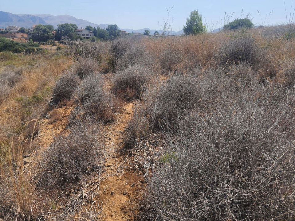 Appartamento - Image 6