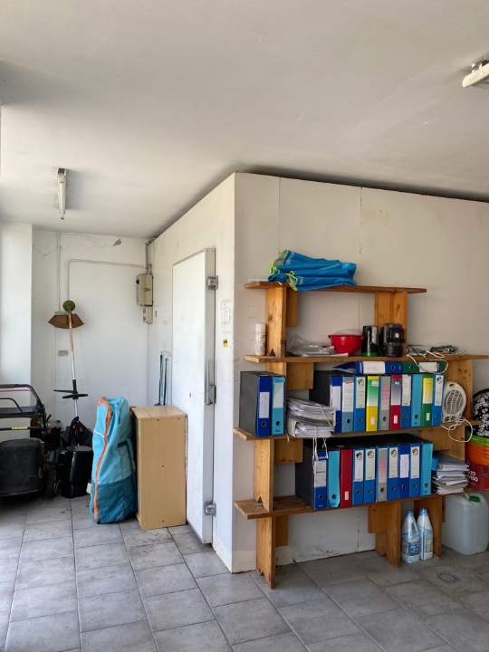 Complesso - Image 38