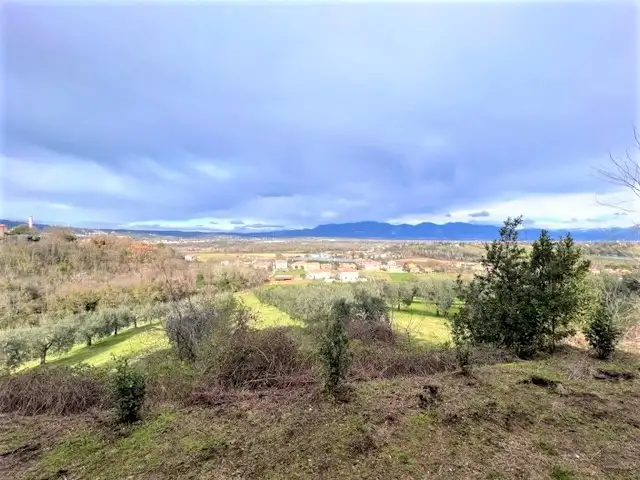 Appartamento - Image 6