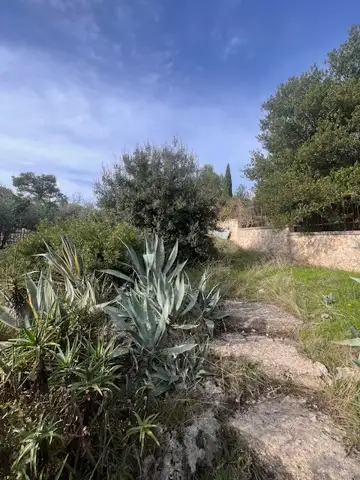 Casa Indipendente - Image 37