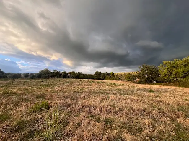 Attività - Image 12