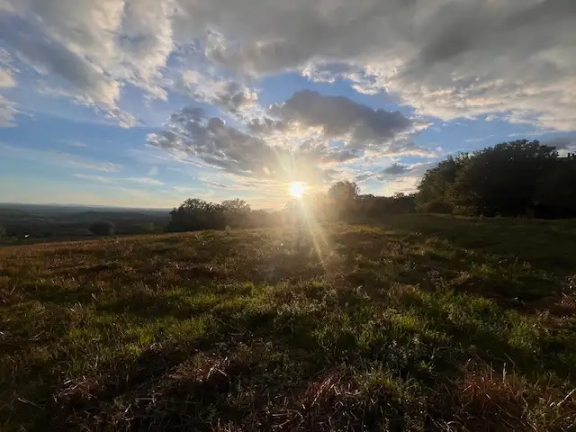 Attività - Image 10