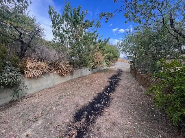 Attività - Image 13