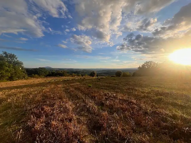 Attività - Image 11