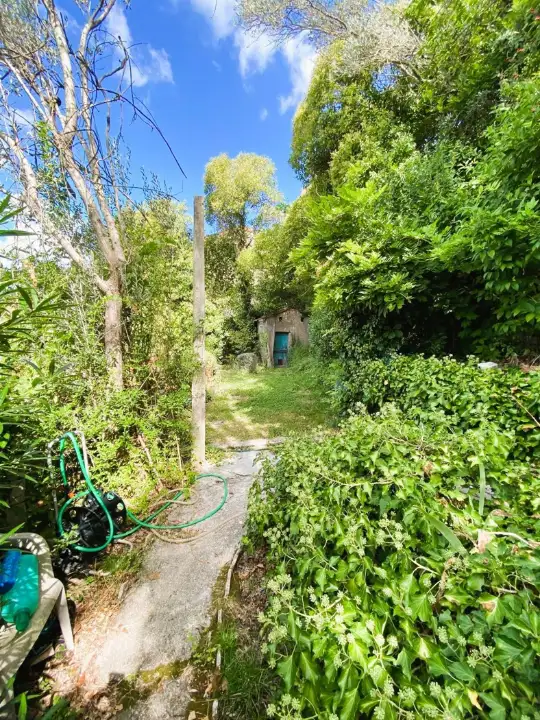 Appartamento - Image 7