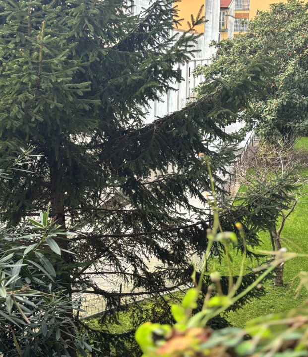 Appartamento - Image 10