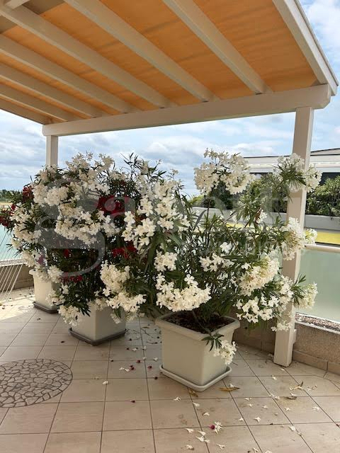 Appartamento - Image 19