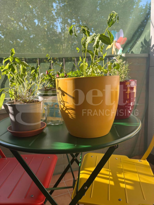 Appartamento - Image 21