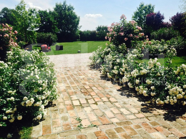 Casa Indipendente - Image 28