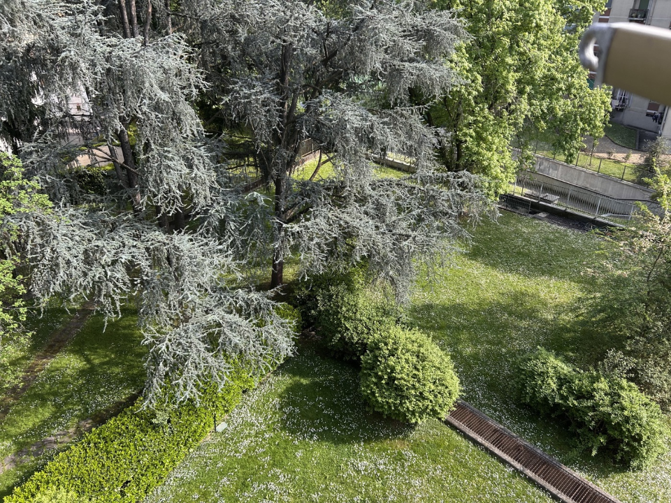 Appartamento - Image 11
