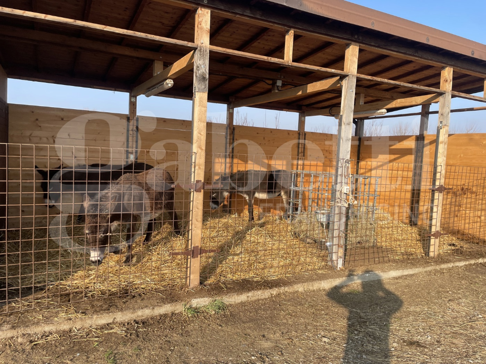 Palazzina - Image 15