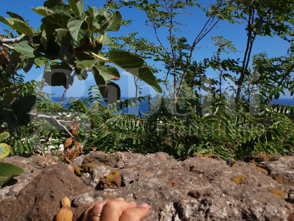 Casa Indipendente - Image 25