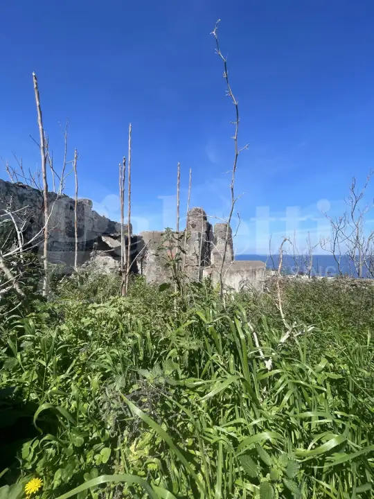 Casa Indipendente - Image 2