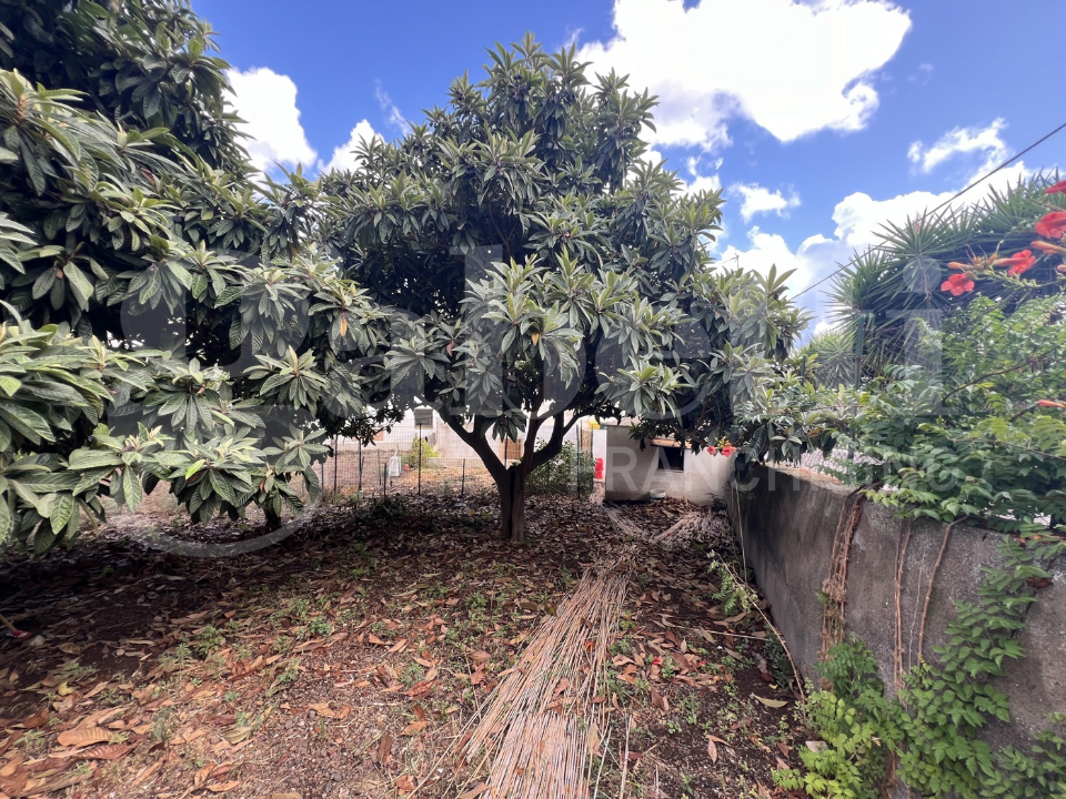 Appartamento - Image 5