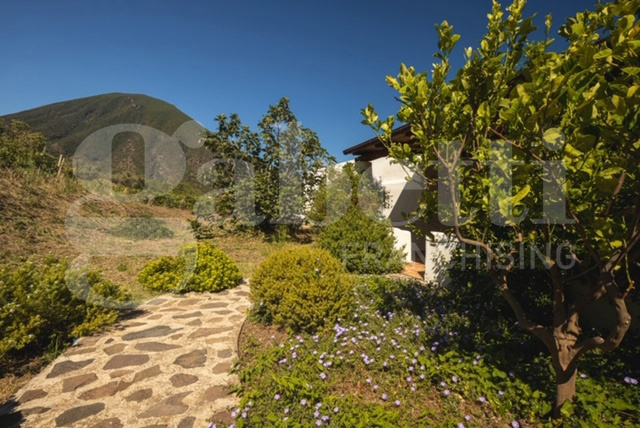 Appartamento - Image 21