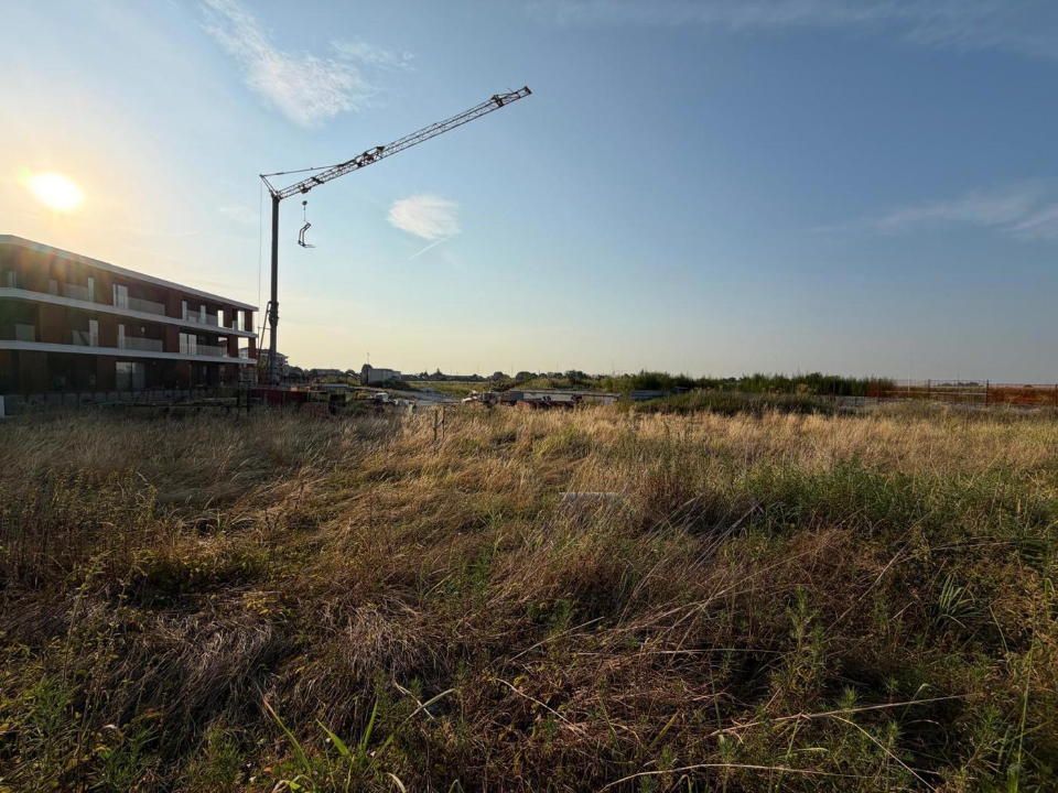 Terreno - Image 3
