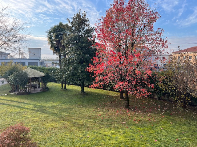 Appartamento - Image 6