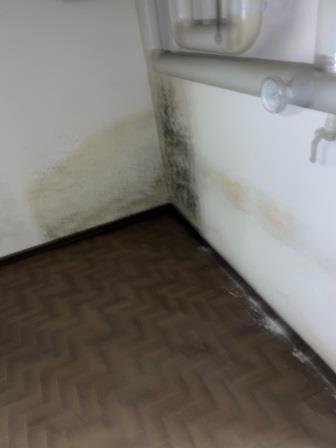 Magazzino - Image 12