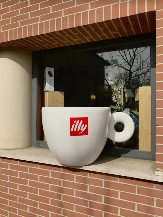 Attività - Image 12