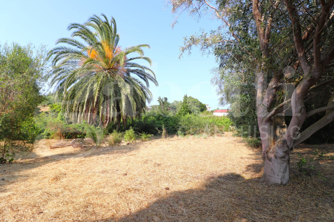 Casa Indipendente - Image 35