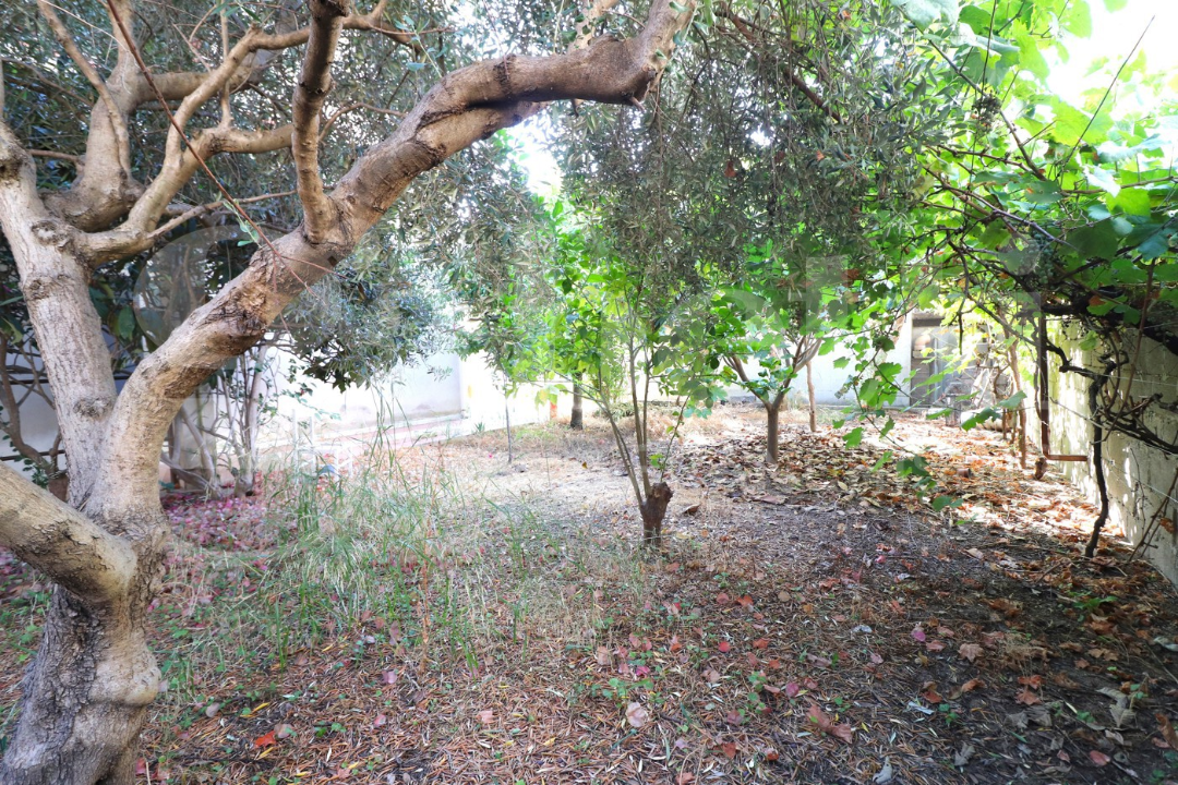 Casa Indipendente - Image 31