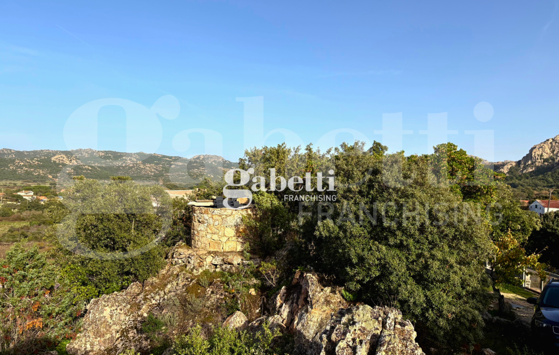 Magazzino - Image 29